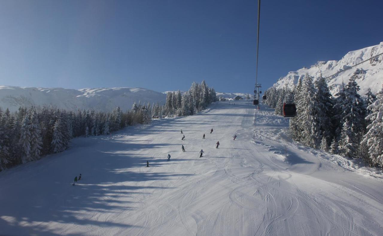 Swiss Heidi 3*